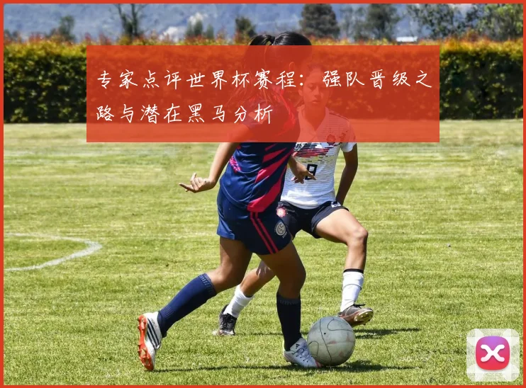 专家点评世界杯赛程：强队晋级之路与潜在黑马分析