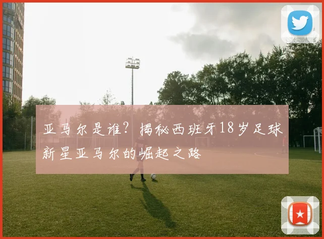 亚马尔是谁？揭秘西班牙18岁足球新星亚马尔的崛起之路