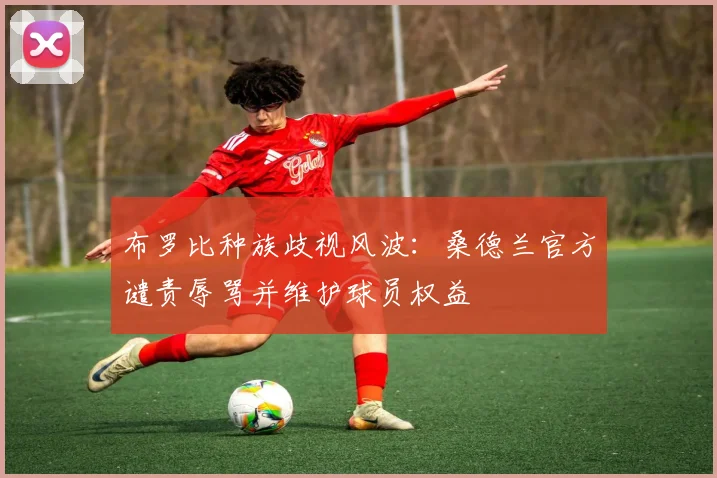 布罗比种族歧视风波：桑德兰官方谴责辱骂并维护球员权益